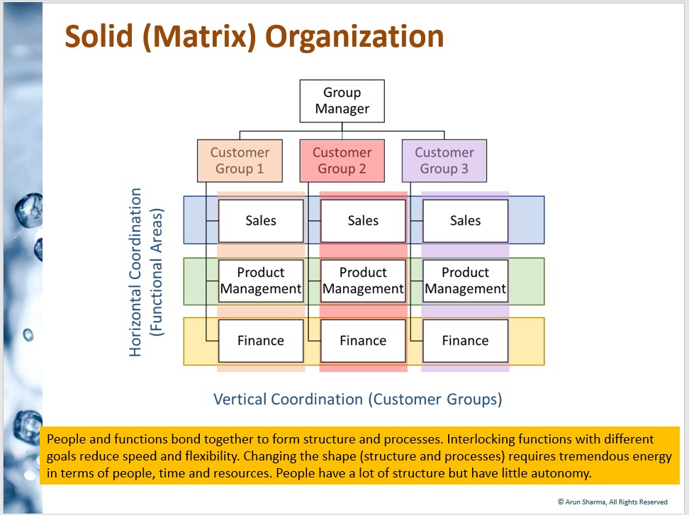 資料　Solid(Matrix) Organization