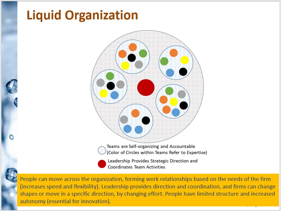 資料 Liquid Organization